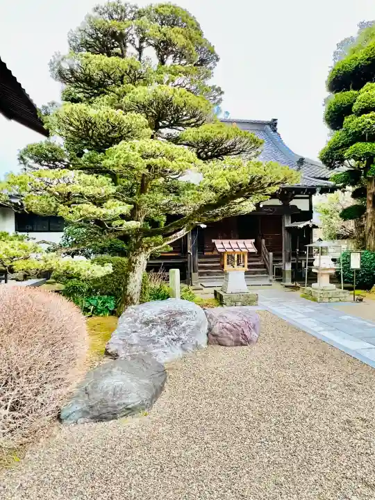 延命院の{uncategorized: "未分類", other: "その他", undefined: "問題あり", building: "その他建物", grave: "お墓", sacred_gate: "鳥居", guardian: "狛犬", statue: "像", buddha: "仏像", history: "歴史", nature: "自然", garden: "庭園", animal: "動物", pagoda: "塔", temizu: "手水舎", mountain_gate: "山門・神門", sanctuary: "本殿・本堂", subordinate: "末社・摂社", art: "芸術", scenery: "景色", jizo: "地蔵", ema: "絵馬", goshuin: "御朱印", omikuji: "おみくじ", items: "授与品その他", amulet: "お守り", goshuincho: "御朱印帳", eats: "食事", festival: "お祭り", votive_dance: "神楽", shichigosan: "七五三参", wedding: "結婚式", experience: "体験その他", initially: "初詣", around: "周辺", anti_infection: "感染症対策"}