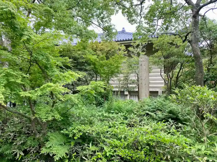 白旗神社の自然