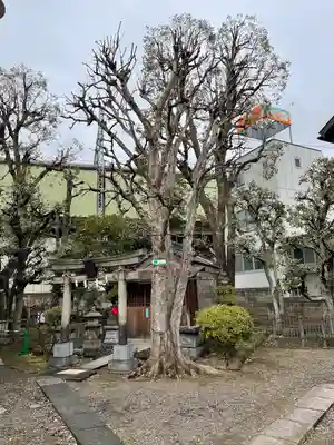 鮫州八幡神社(東京都)