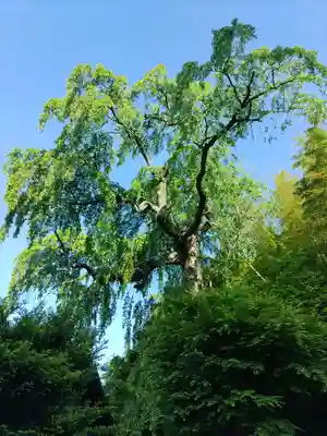 田村大元神社(福島県)