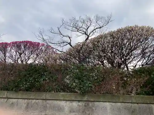薬師院(神奈川県)