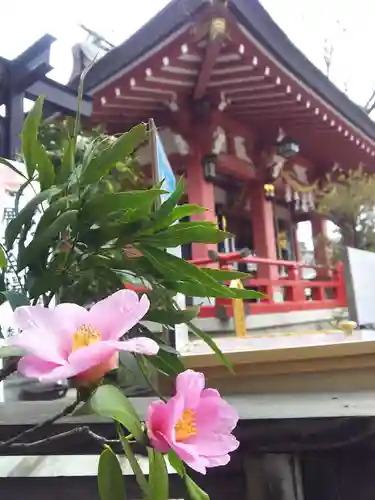 越谷香取神社の自然