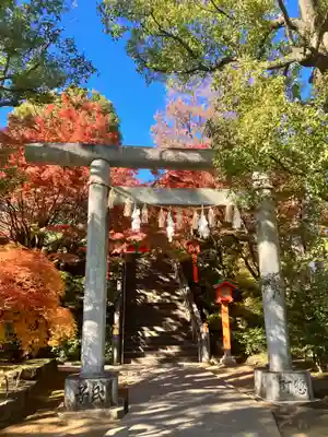 穴八幡宮(東京都)