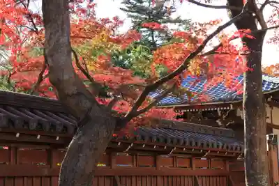 能仁寺(埼玉県)