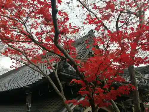 金生山 明星輪寺の自然