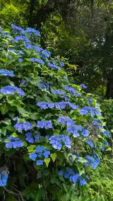 十輪寺(京都府)