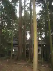 鞍馬寺の自然