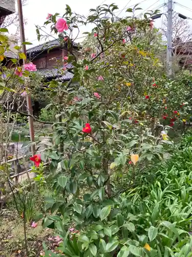 大巧寺(神奈川県)