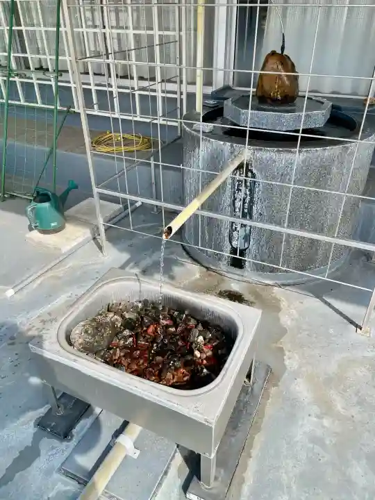 真成院の{uncategorized: "未分類", other: "その他", undefined: "問題あり", building: "その他建物", grave: "お墓", sacred_gate: "鳥居", guardian: "狛犬", statue: "像", buddha: "仏像", history: "歴史", nature: "自然", garden: "庭園", animal: "動物", pagoda: "塔", temizu: "手水舎", mountain_gate: "山門・神門", sanctuary: "本殿・本堂", subordinate: "末社・摂社", art: "芸術", scenery: "景色", jizo: "地蔵", ema: "絵馬", goshuin: "御朱印", omikuji: "おみくじ", items: "授与品その他", amulet: "お守り", goshuincho: "御朱印帳", eats: "食事", festival: "お祭り", votive_dance: "神楽", shichigosan: "七五三参", wedding: "結婚式", experience: "体験その他", initially: "初詣", around: "周辺", anti_infection: "感染症対策"}