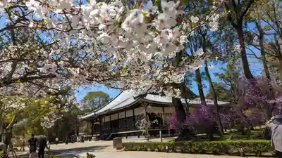 仁和寺(京都府)