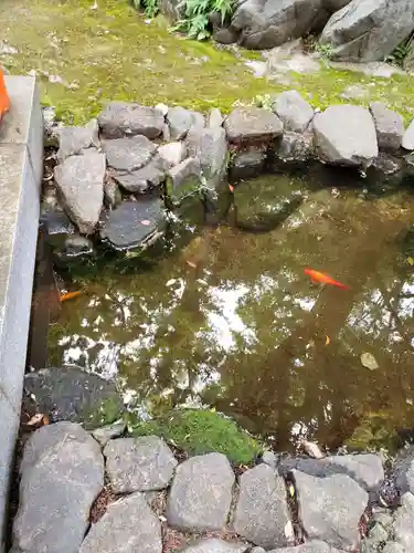 熊野神社(東京都)