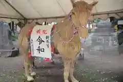 北野天神社の狛犬