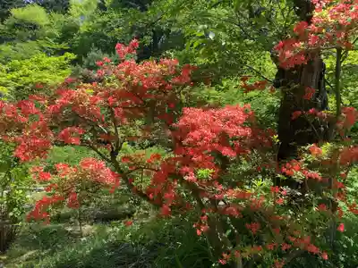 青龍山 吉祥寺(群馬県)