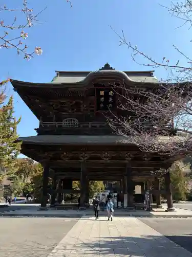 建長寺の{uncategorized: "未分類", other: "その他", undefined: "問題あり", building: "その他建物", grave: "お墓", sacred_gate: "鳥居", guardian: "狛犬", statue: "像", buddha: "仏像", history: "歴史", nature: "自然", garden: "庭園", animal: "動物", pagoda: "塔", temizu: "手水舎", mountain_gate: "山門・神門", sanctuary: "本殿・本堂", subordinate: "末社・摂社", art: "芸術", scenery: "景色", jizo: "地蔵", ema: "絵馬", goshuin: "御朱印", omikuji: "おみくじ", items: "授与品その他", amulet: "お守り", goshuincho: "御朱印帳", eats: "食事", festival: "お祭り", votive_dance: "神楽", shichigosan: "七五三参", wedding: "結婚式", experience: "体験その他", initially: "初詣", around: "周辺", anti_infection: "感染症対策"}