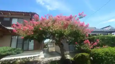 大源寺(岐阜県)