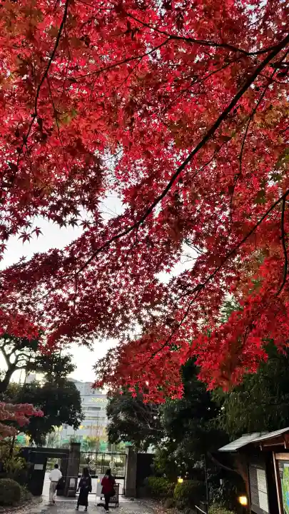 【閉業】小石川大神宮の{uncategorized: "未分類", other: "その他", undefined: "問題あり", building: "その他建物", grave: "お墓", sacred_gate: "鳥居", guardian: "狛犬", statue: "像", buddha: "仏像", history: "歴史", nature: "自然", garden: "庭園", animal: "動物", pagoda: "塔", temizu: "手水舎", mountain_gate: "山門・神門", sanctuary: "本殿・本堂", subordinate: "末社・摂社", art: "芸術", scenery: "景色", jizo: "地蔵", ema: "絵馬", goshuin: "御朱印", omikuji: "おみくじ", items: "授与品その他", amulet: "お守り", goshuincho: "御朱印帳", eats: "食事", festival: "お祭り", votive_dance: "神楽", shichigosan: "七五三参", wedding: "結婚式", experience: "体験その他", initially: "初詣", around: "周辺", anti_infection: "感染症対策"}