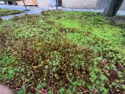 興臨院(京都府)