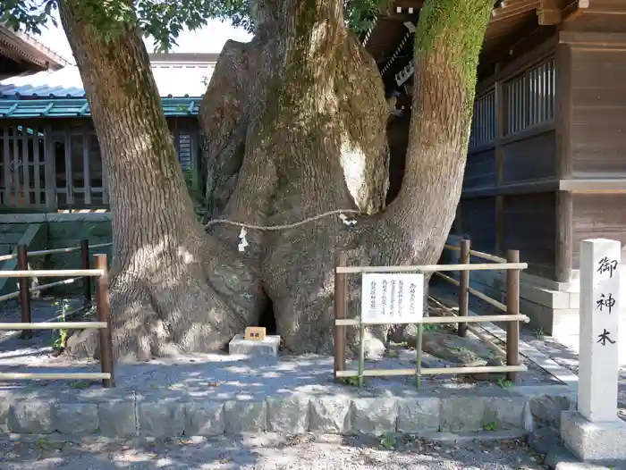 焼津神社の建物その他