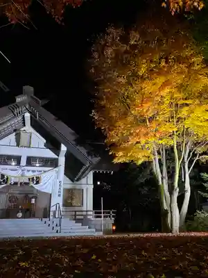 北広島市総鎮守 廣島神社の本殿・本堂