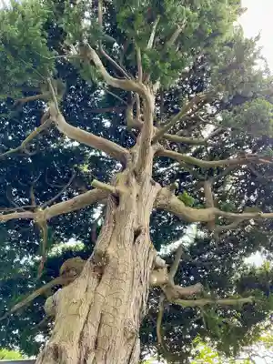 妙隆寺(神奈川県)