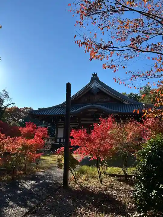 大森寺(愛知県)