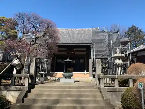 森巌寺の本殿・本堂