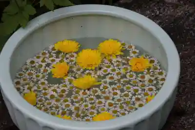 開成山大神宮の手水舎