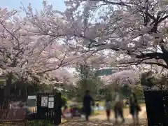 おりひめ神社の自然