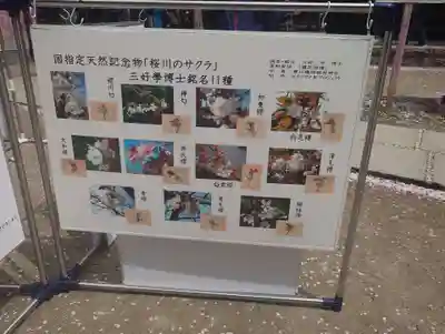 磯部稲村神社(茨城県)