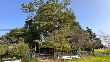 田中神社(滋賀県)