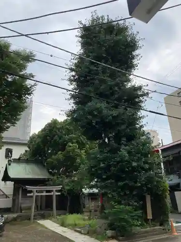 恵比寿神社のその他建物