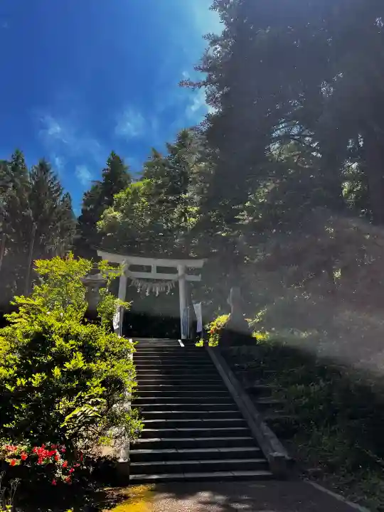 青海神社(新潟県)