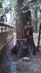 鹿島神社の像