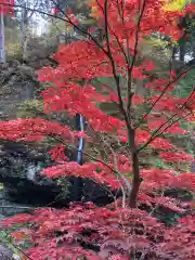 榛名神社の自然