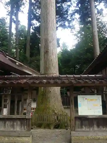 伊和神社のその他建物