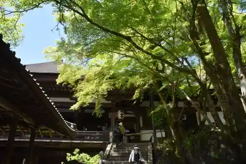 石山寺の自然