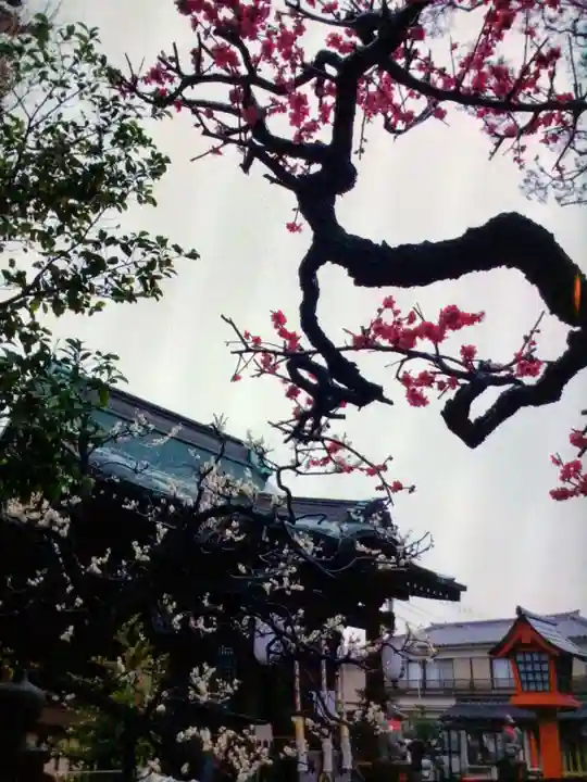 久富稲荷神社(東京都)