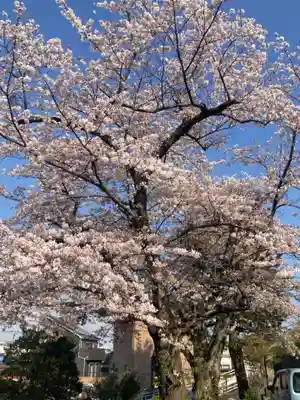 蓮大寺(神奈川県)