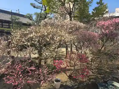 菅原神社(大阪府)