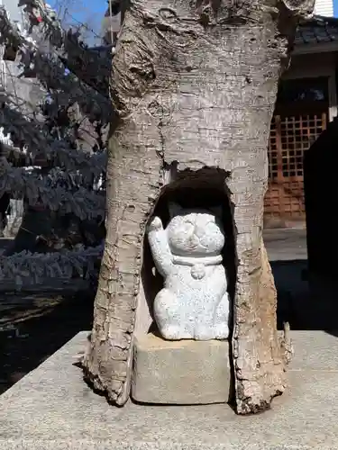 荻窪白山神社(東京都)
