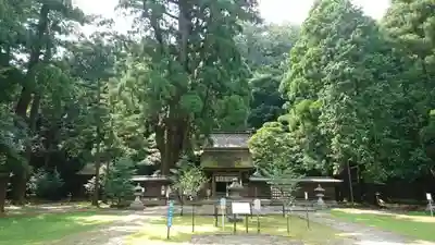 若狭姫神社（若狭彦神社下社）のその他建物