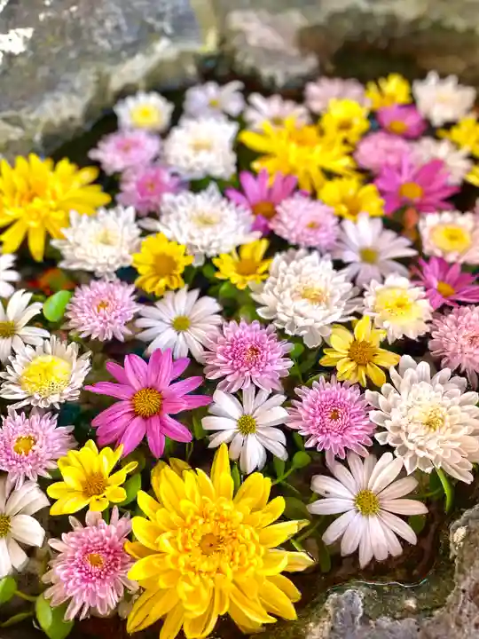 伊達神社の手水舎