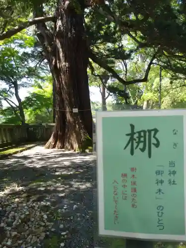 伊豆山神社(静岡県)