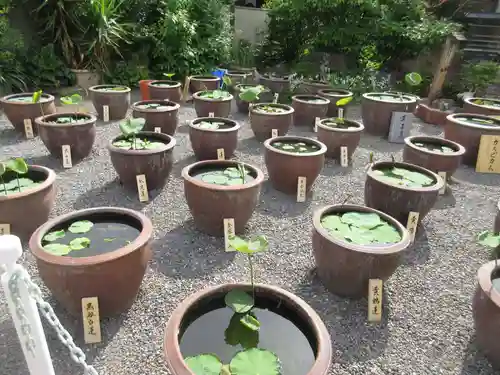 大蓮寺のその他建物