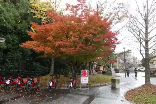 氣比神宮の自然
