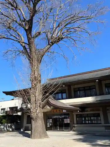 葛西神社(東京都)