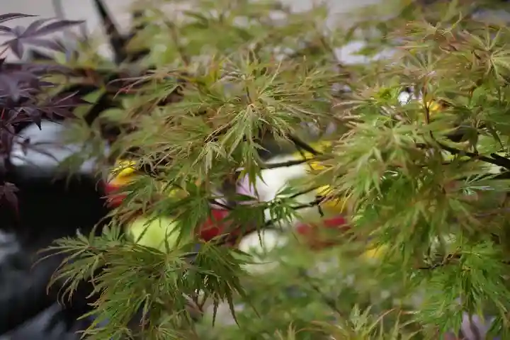 東海市熊野神社の手水舎