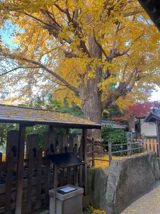 廣田神社の自然