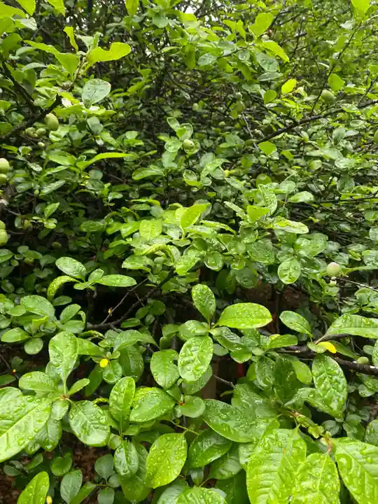 冠稲荷神社(群馬県)