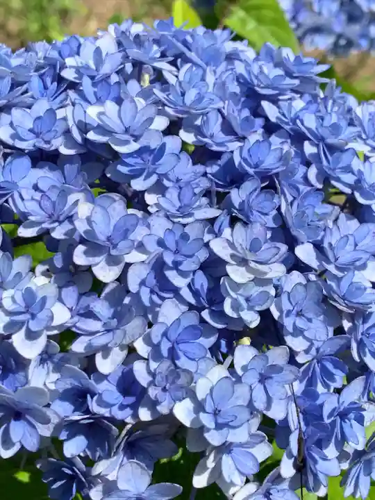 陽林寺(福島県)